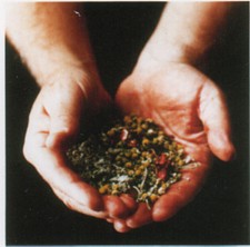 Go to Aromatherapy Page